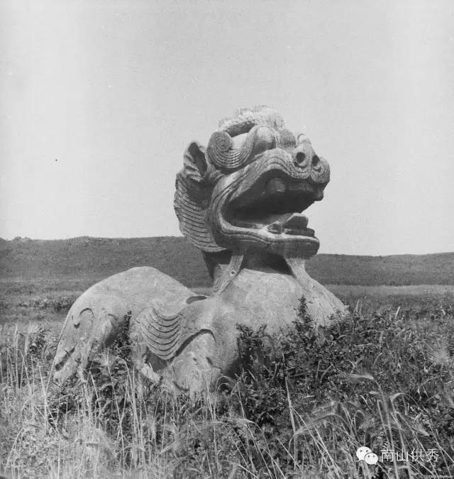 �մﾵͷ�µ�������Ĺʯ��