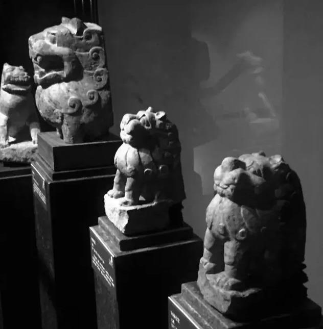 ��������Ĺ��ʨ��