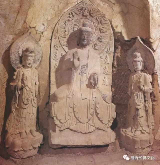 ������ı����ж�����̨��¹ҰԷ����ѧ�������ɽ�ͱ����µĲη���۲�